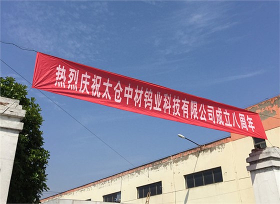 中材钨业